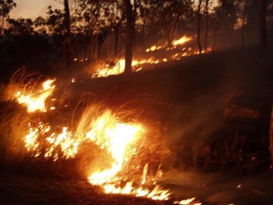 burn-Townsville-Queensland-Aus-Backburning-much-brushfire.jpg