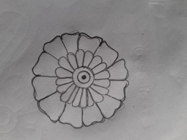 20220223_104957.jpg