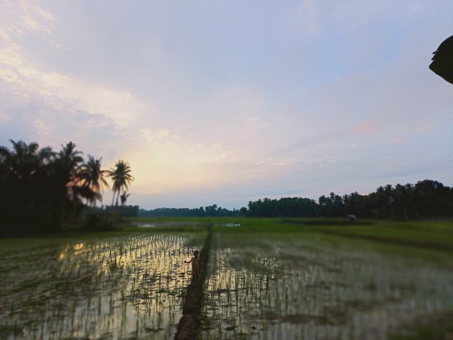 IMG20241221180256.jpg