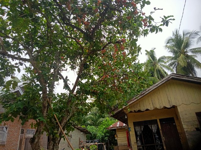 IMG20250804125448.jpg