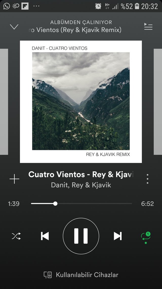 Screenshot_20190402-203233_Spotify.jpg