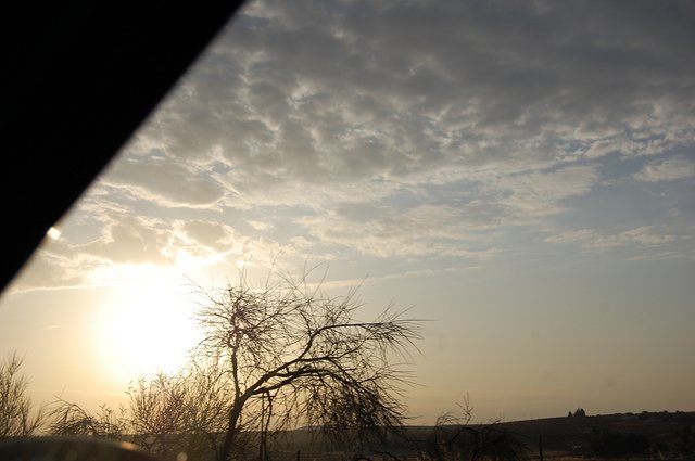 k-DSC_0448.JPG