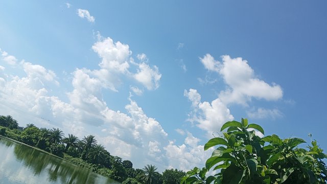 IMG_20240829_145104_1.jpg