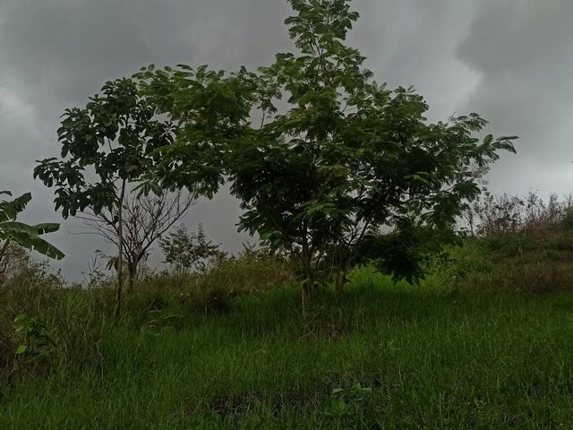 IMG_20250428_084453_438.jpg