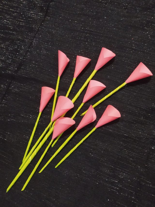 1000011077.jpg