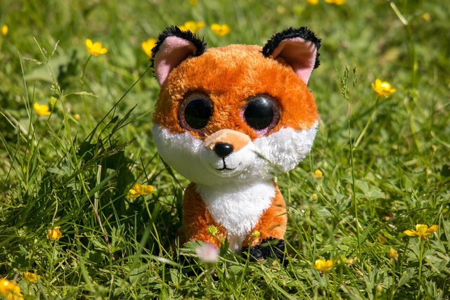 googley-bear-798379_1280.jpg