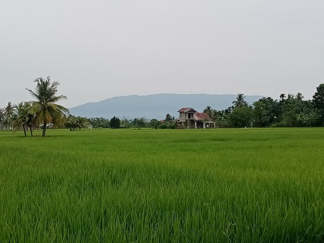 IMG20250811072930.jpg