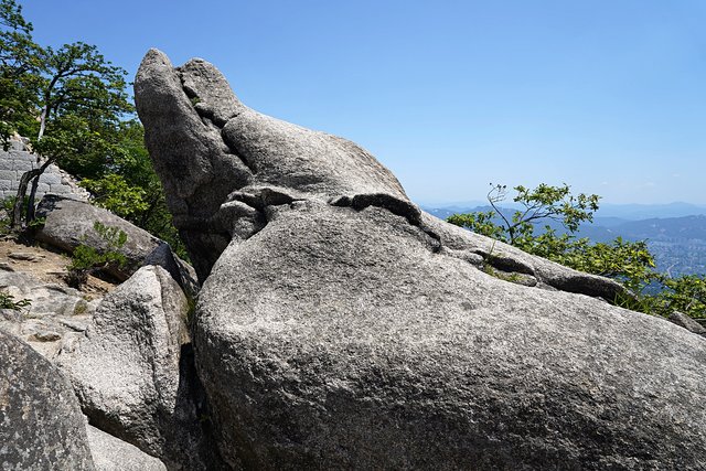 b-DSC04854.JPG