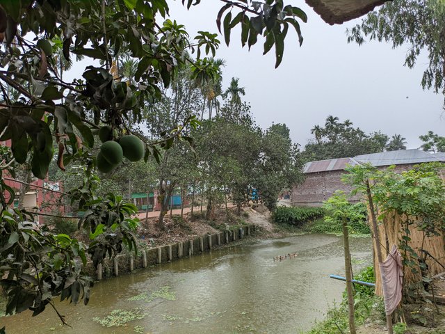 1000030354.jpg