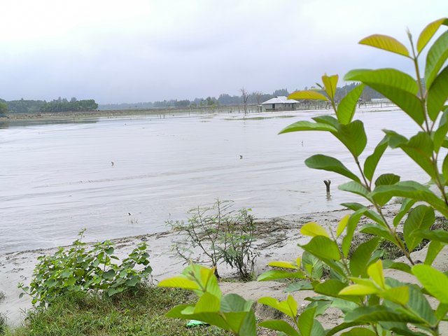 IMG_20250912_081508.jpg