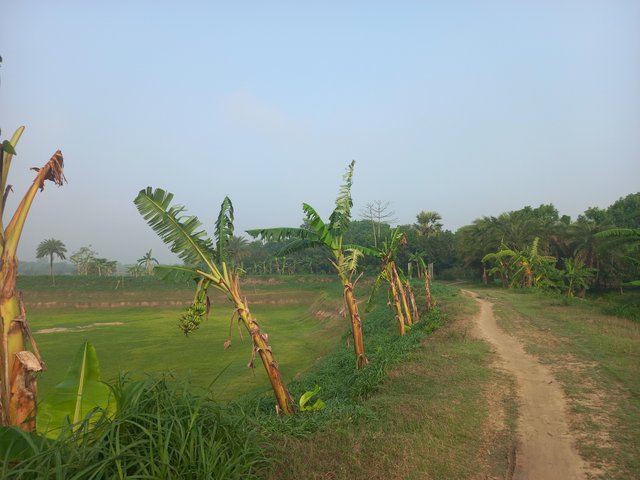 20250419_075007.jpg