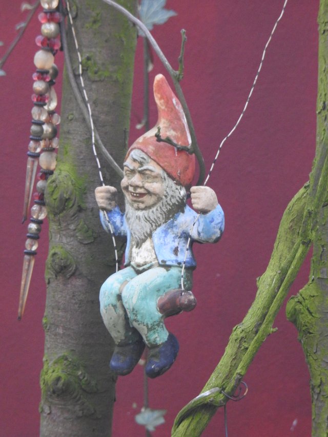 DSCN1220.JPG