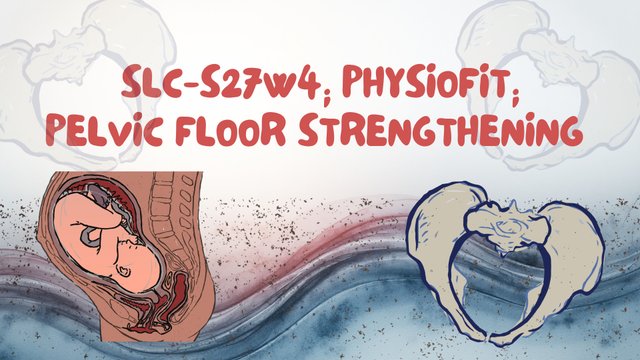 Four Main Pelvic Types Educational Presentation in Brown and Pink Textured _20251019_221301_0000.jpg
