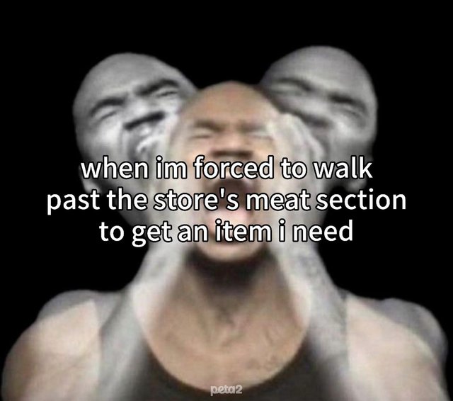 503772793_18501189493034371_2805600921045175877_n.jpg