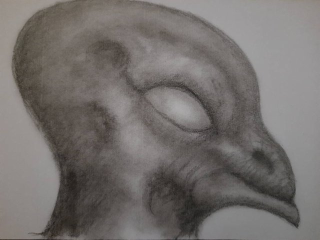 20250612_105238.jpg