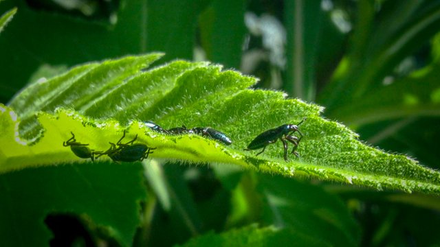 IMG_20240629_095921_