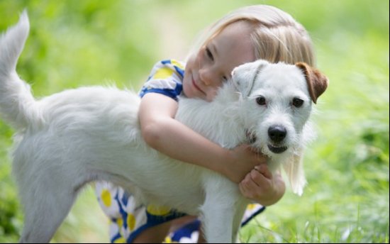 dogvacay-dog-boarding-pets-tnooz-funding-.jpg