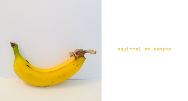 squirrel_on_banana.jpg