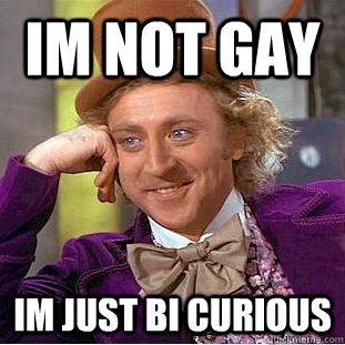 i am not gay just bicurious.jpg