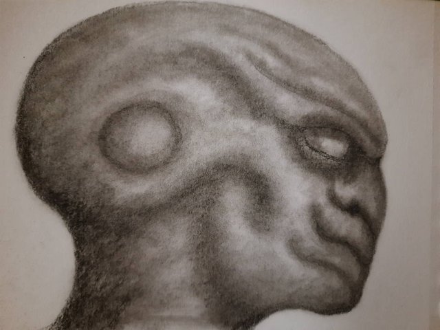 20251004_105056.jpg