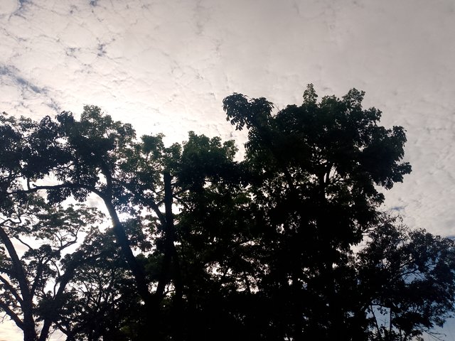 IMG_20250503_074518_652.jpg