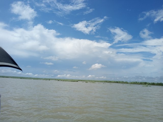 IMG_20250821_134024_487.jpg