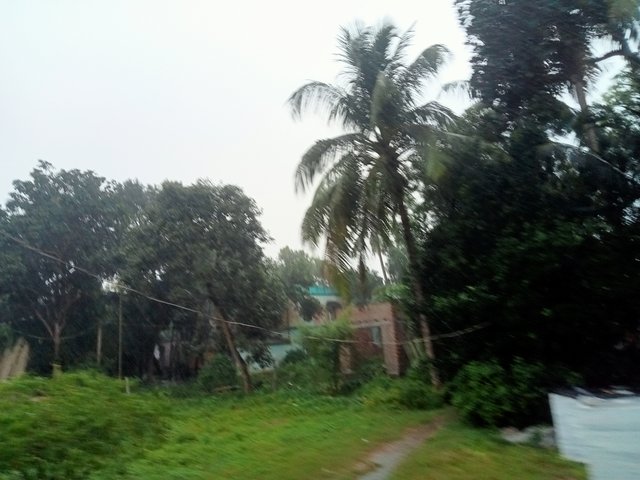 IMG20250911163018.jpg