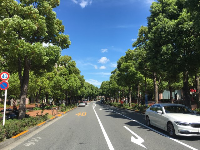 恵比寿ガーデンプレイスの街路樹