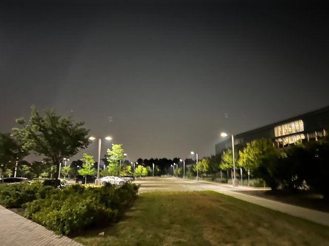 IMG_2343.jpg