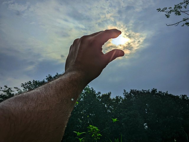 IMG_20250328_082937.jpg