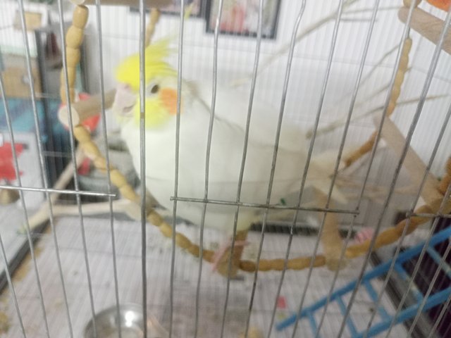 IMG20250610134659.jpg