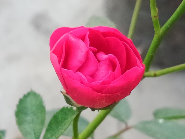 IMG_20251007_235532.jpg