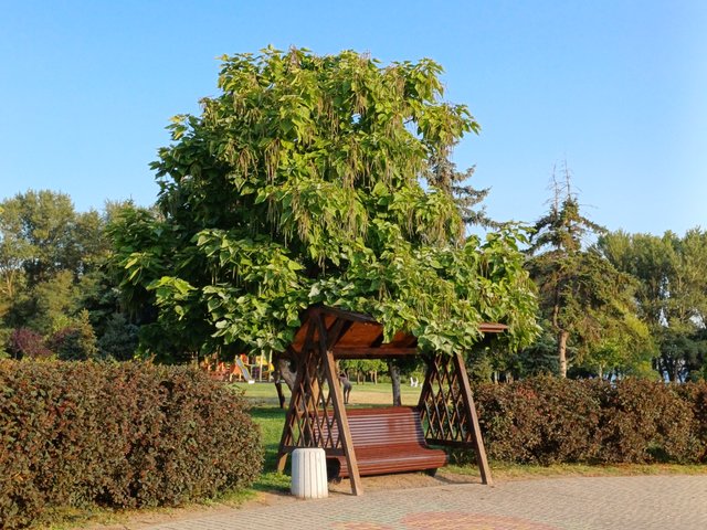 20250808_071237.jpg