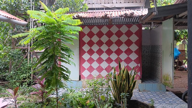 20250627_133938.jpg