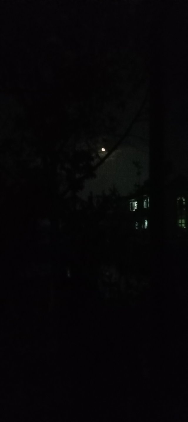 20250512_200444.jpg