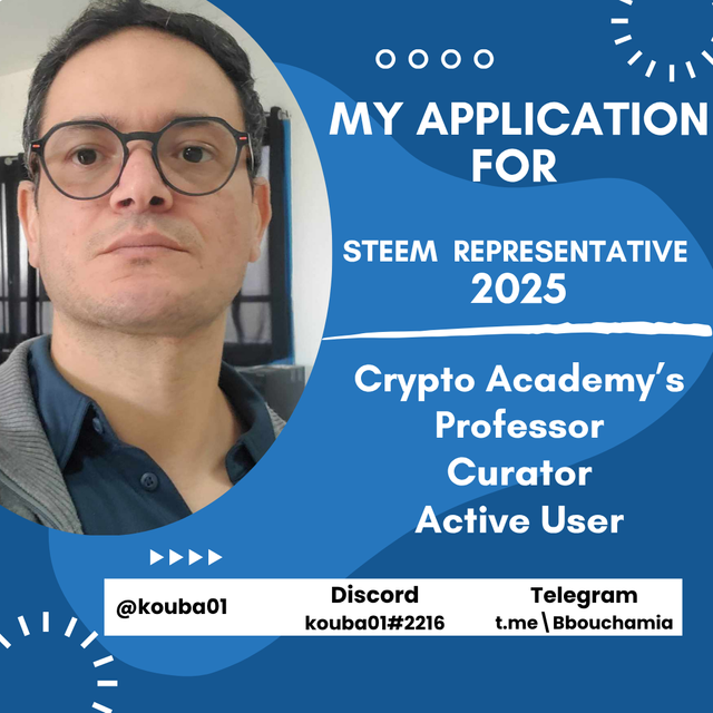 steem Representative 2025.png