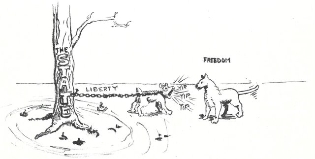 Freedom or Liberty.jpg