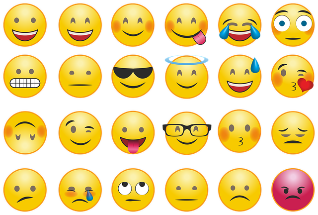 emoji-2762568_640.png