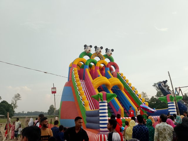 1000071446.jpg