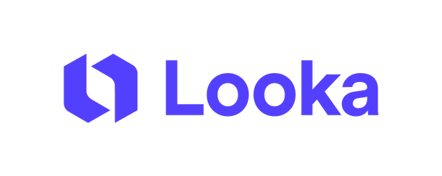 Looka Logo Blue Padding.png