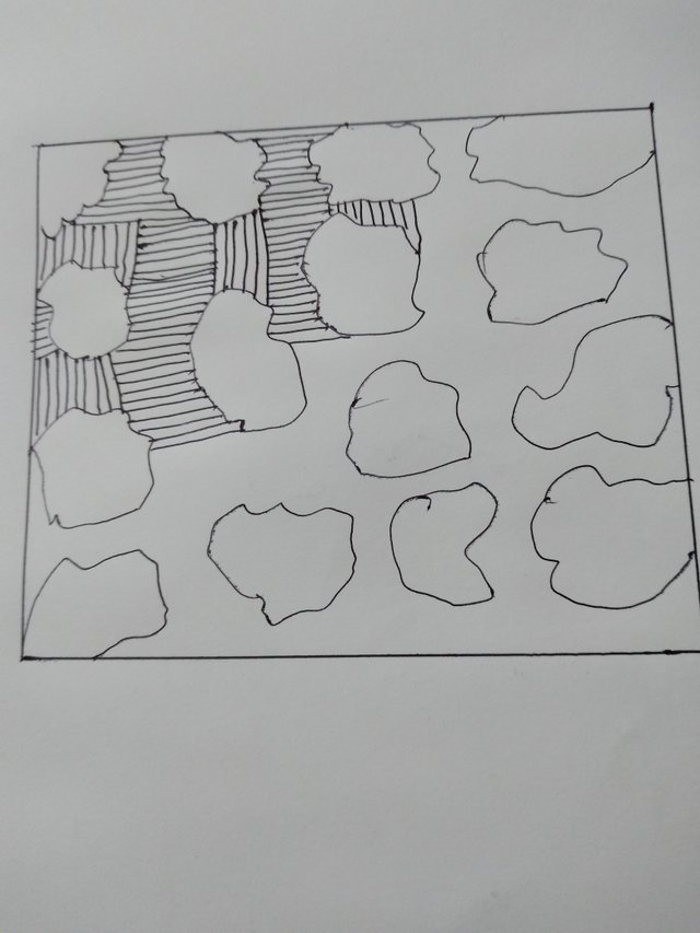 20250727_211443.jpg