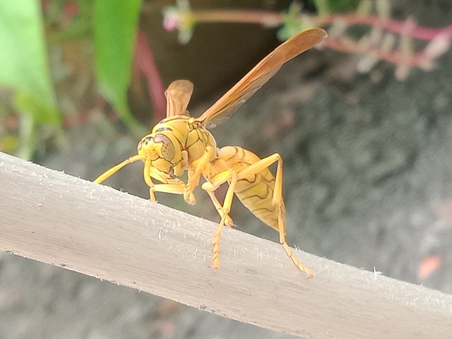 IMG20250925100913.jpg