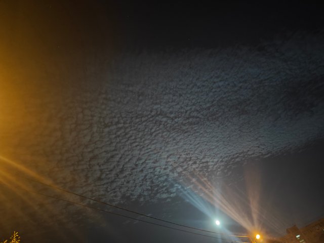 1000085070.jpg