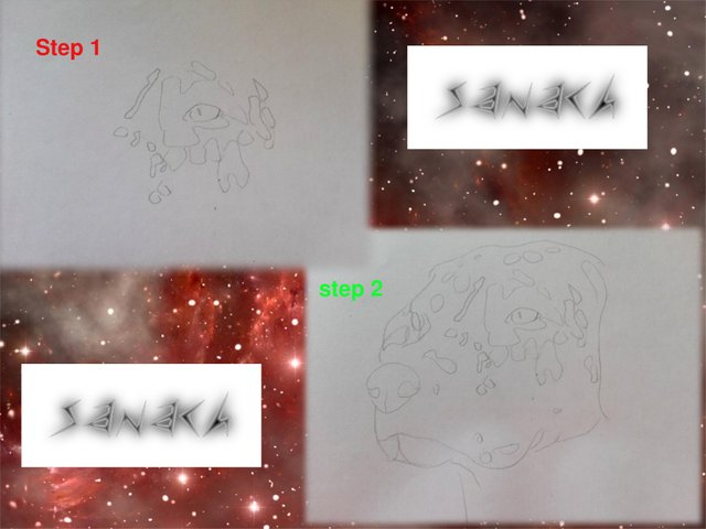 sana drawing 1 .jpg