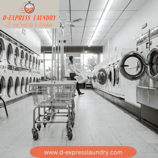 D-express laundry (4).jpg