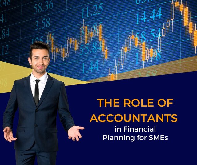 The Role of Accountants in Financial Planning for SMEs.jpg