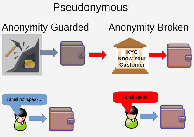 10.pseudoanonymous.png