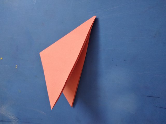 20250529_120524.jpg