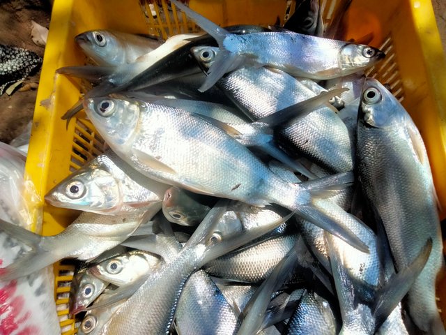 IMG20250919141534.jpg
