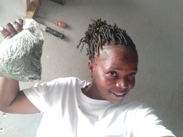 IMG20250730131550.jpg
